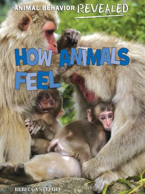 cover image of How Animals Feel